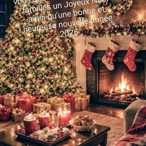 Joyeuses Fêtes !